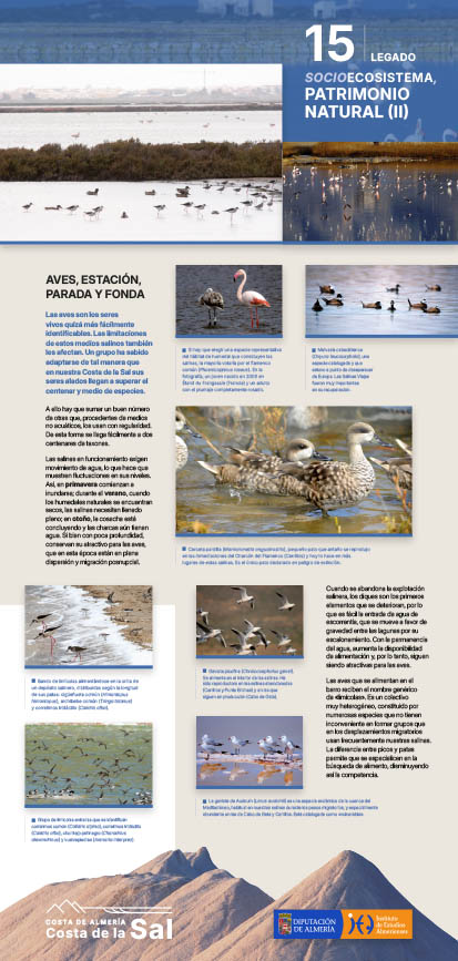 Exposición Costa de la Sal, panel 15